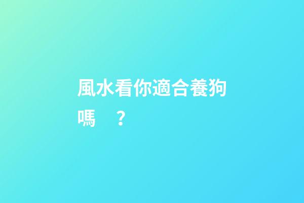 風水看你適合養狗嗎？